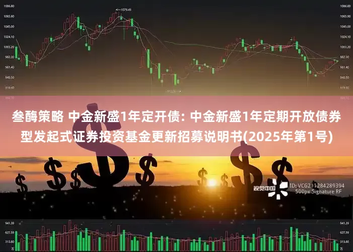 叁酶策略 中金新盛1年定开债: 中金新盛1年定期开放债券型发起式证券投资基金更新招募说明书(2025年第1号)