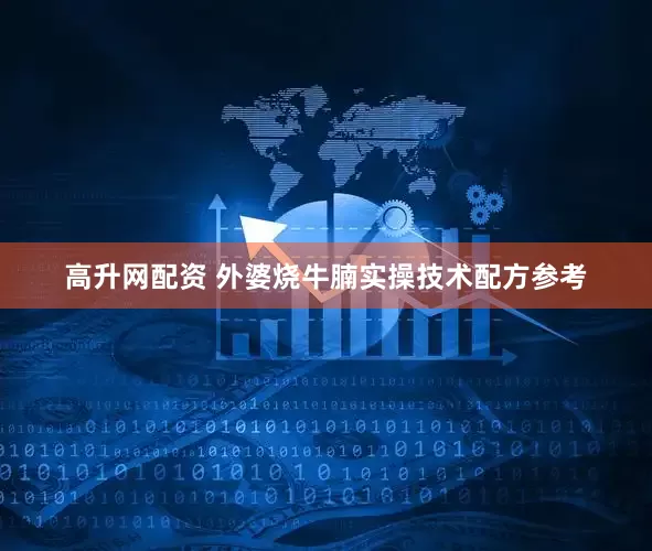 高升网配资 外婆烧牛腩实操技术配方参考
